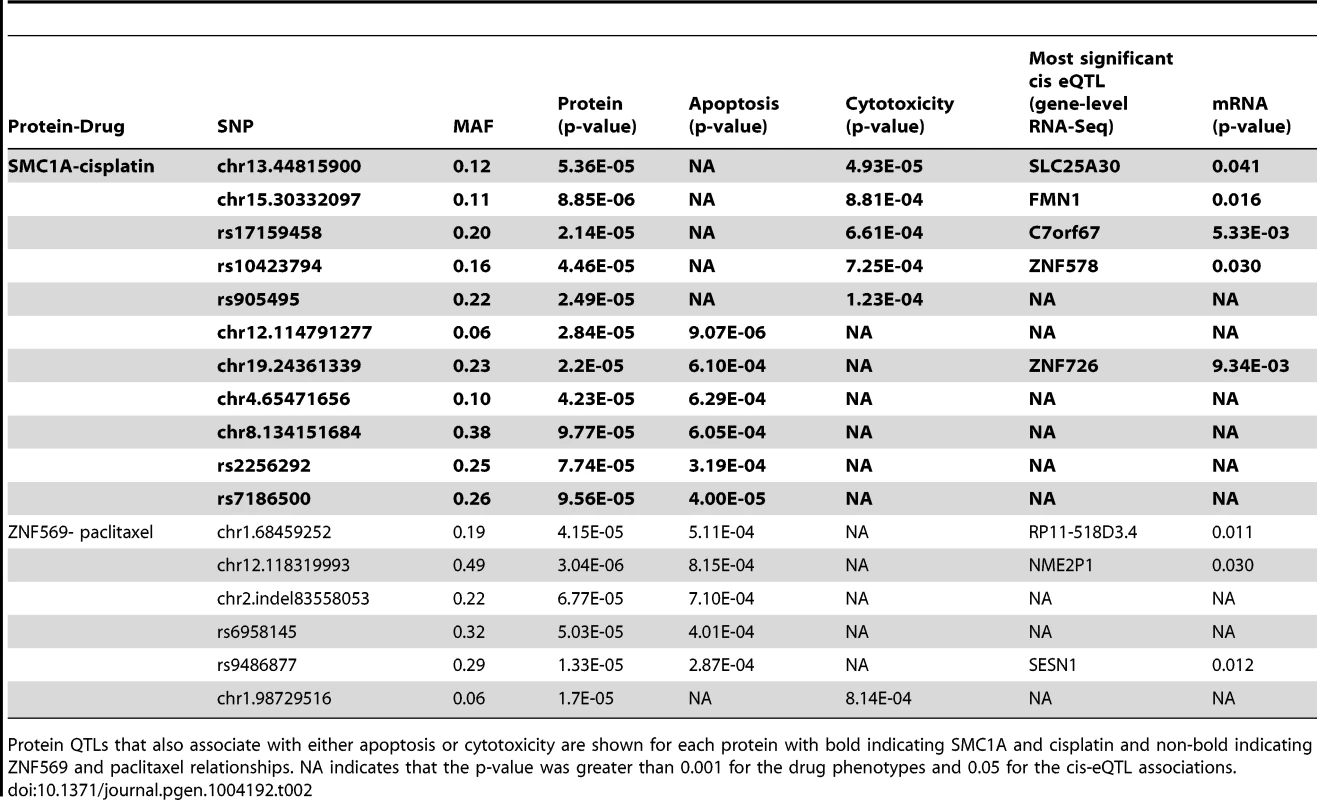 Protein QTLs implicating SMC1A for cisplatin and ZNF569 for paclitaxel.