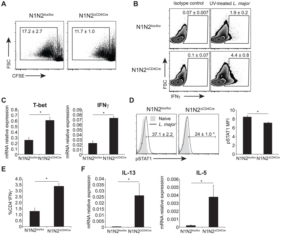 N1N2<sup>ΔCD4Cre</sup> mice transcribe T-bet and IFNγ in dLN CD4<sup>+</sup> T cells but do not secrete it.