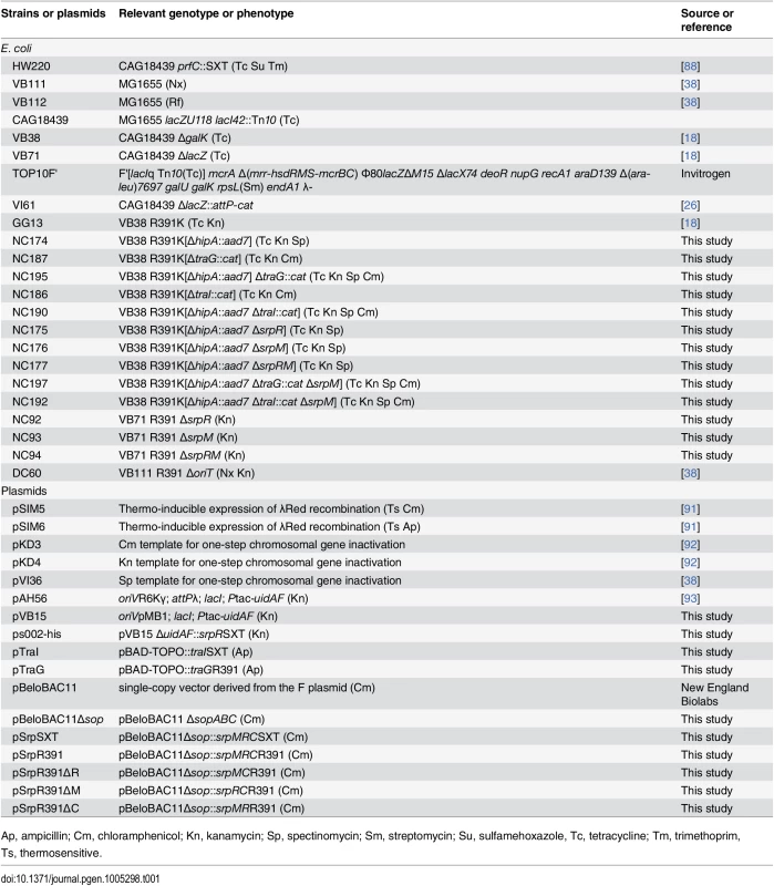 Strains and plasmids used in this study.