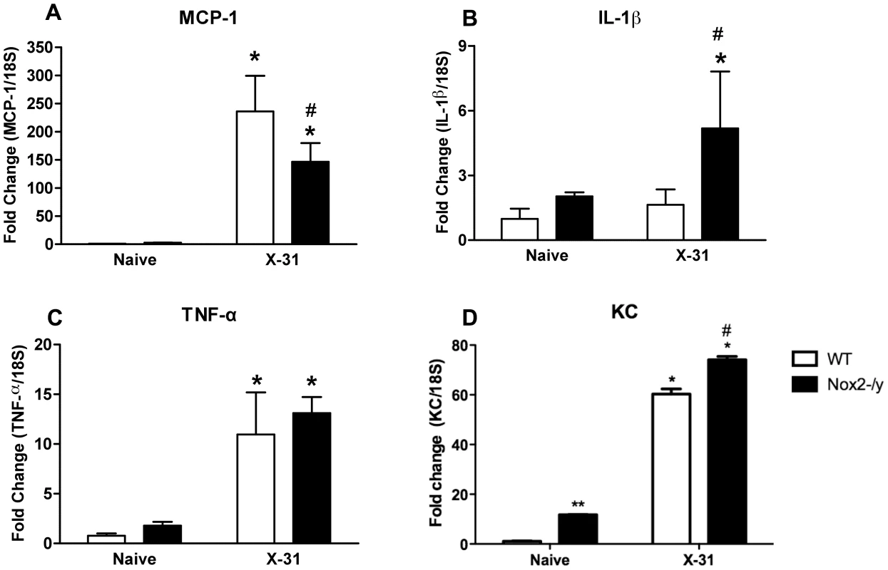 Assessment of lung cytokines levels.