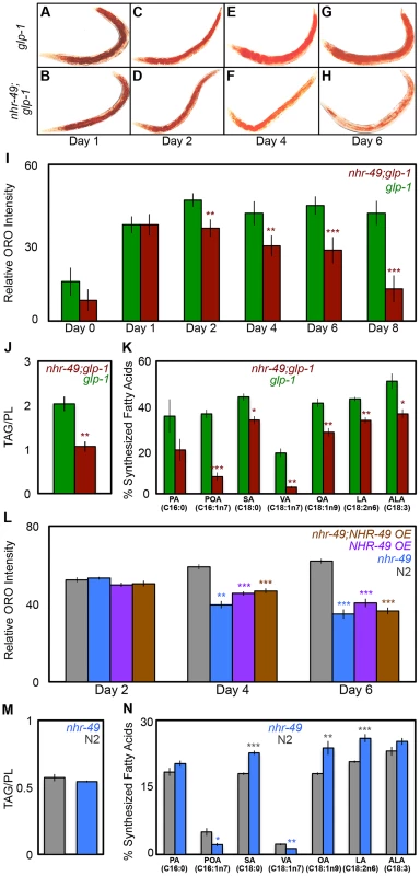 NHR-49 is required for maintenance of fat stores and <i>de novo</i> fat synthesis in germline-less adults.