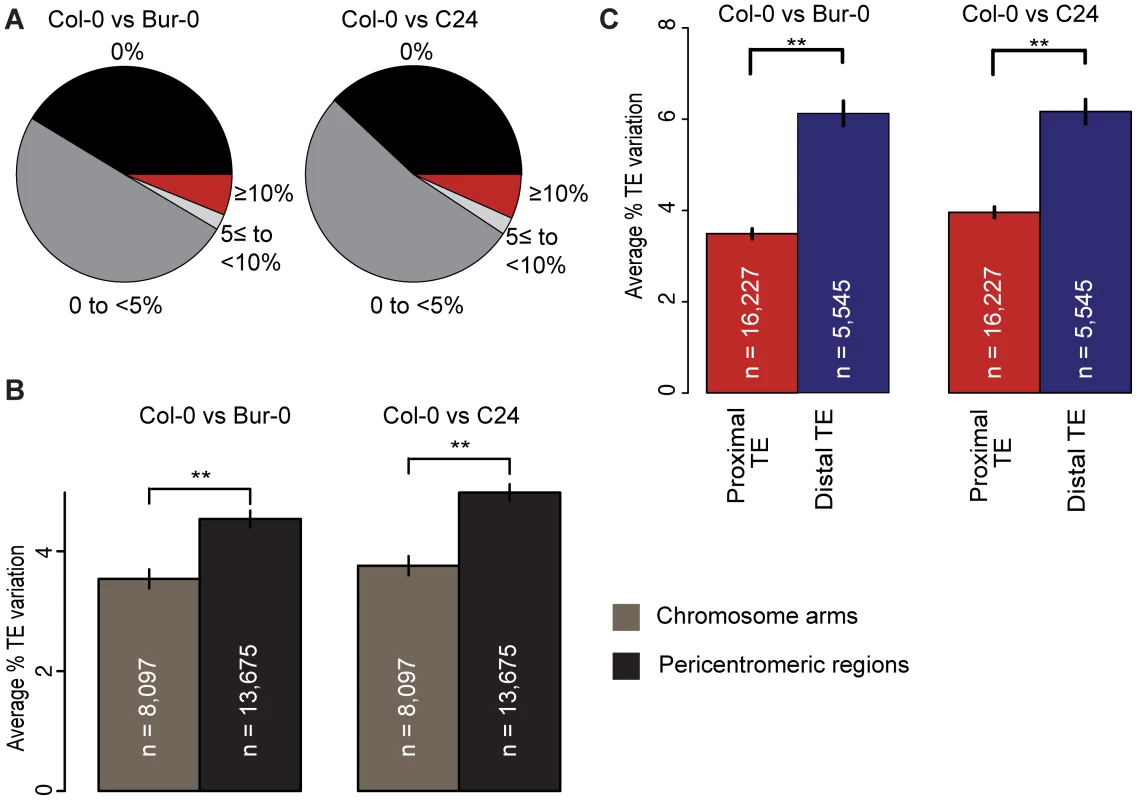 TE variation and its relation to coding gene proximity and genomic region.