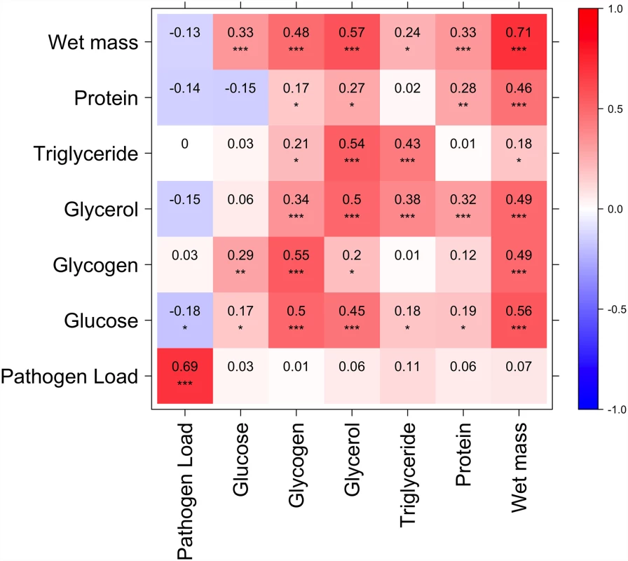 Correlation between nutritional indices and immune defense (Ln CFU per fly).