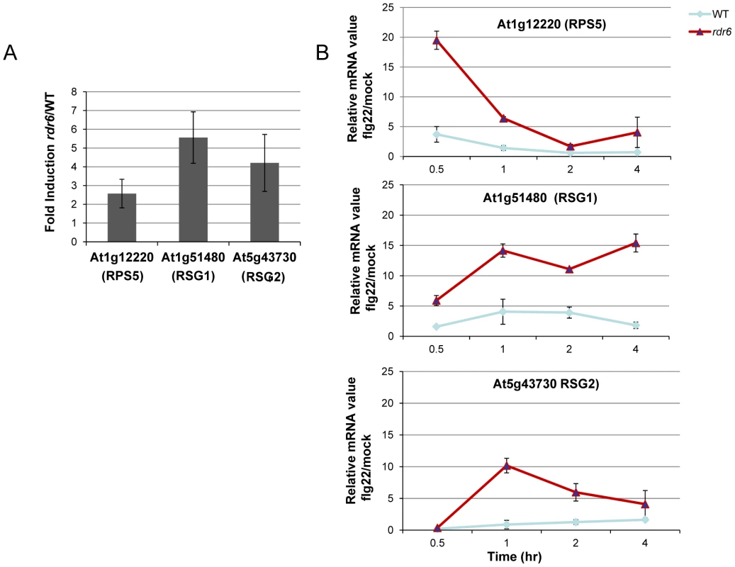 <i>RDR6</i>-dependent siRNAs negatively regulate a subset of CNL transcripts both constitutively and during flg22 elicitation.