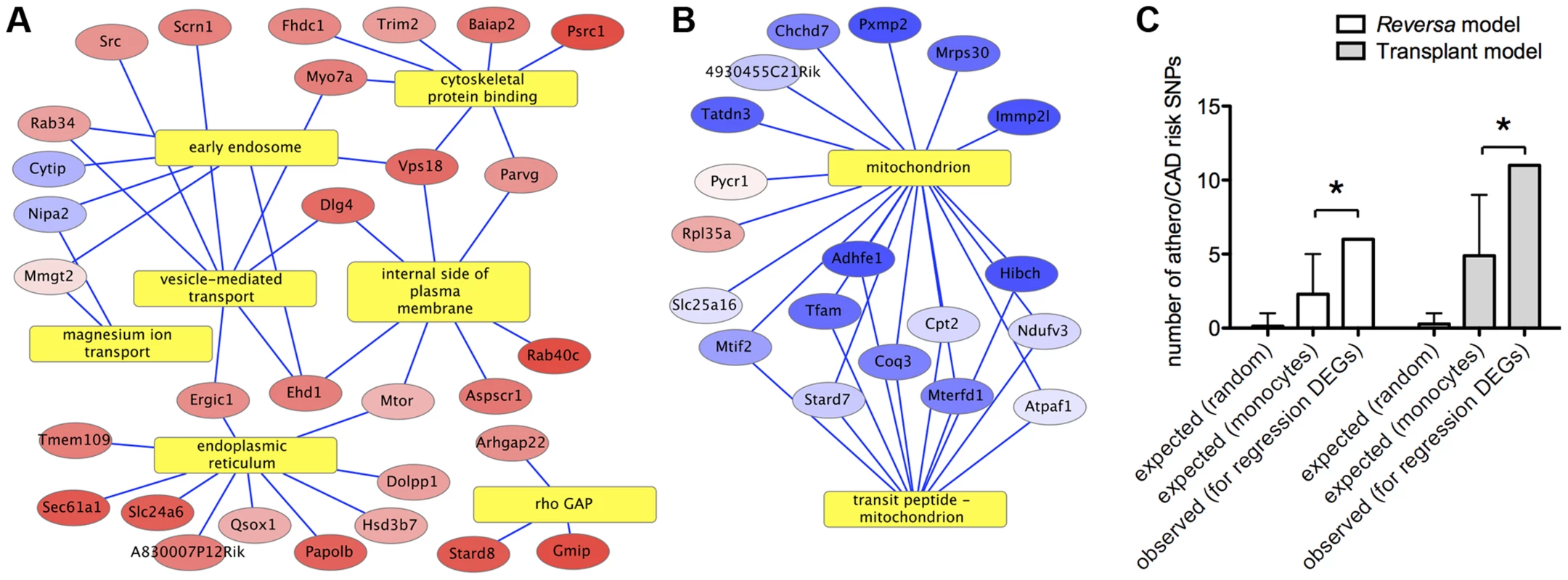 Functional bioinformatic analysis of genes that respond to lipid lowering <i>in vivo</i> indicates connections with cell motility and risk of human CAD/atherosclerosis.