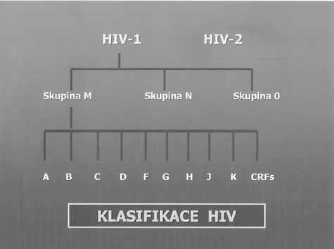 Subtypy HIV-1 a HIV-2
Fig. 2. Subtypes HIV-1 and HIV-2