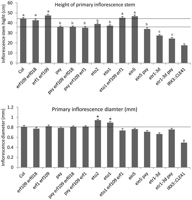 Morphology of plant lines used in this study.