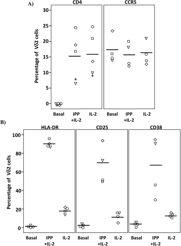 Expression of CD4, CCR5 and activation markers on Vδ2 cells.