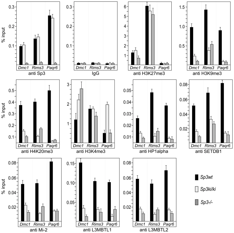 Sp3-SUMO–dependent association of heterochromatic histone modifications and repressive chromatin components.