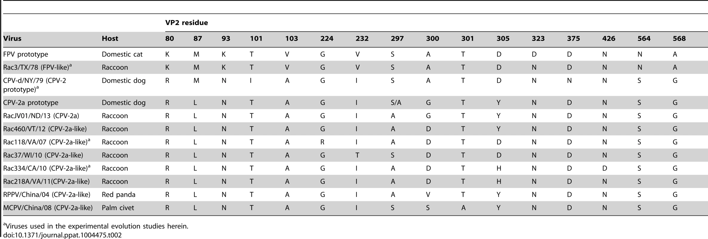 Amino acid mutations in the VP2 capsid protein of a representative set of parvoviruses including the prototypes of FPV, CPV-2, and CPV-2a, and select CPV host range variants, highlighting the polymorphic nature of residue 300.