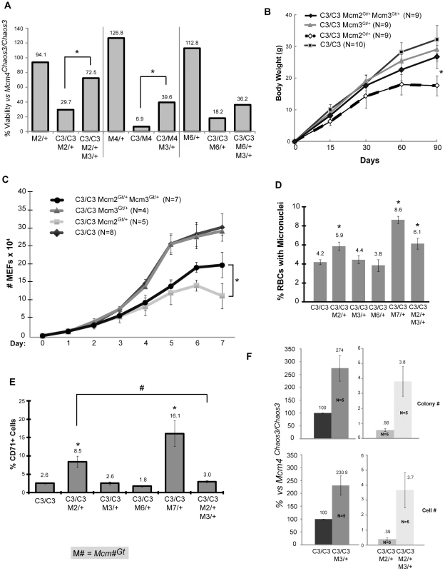 Rescue of phenotypes by <i>Mcm3</i> hemizygosity.