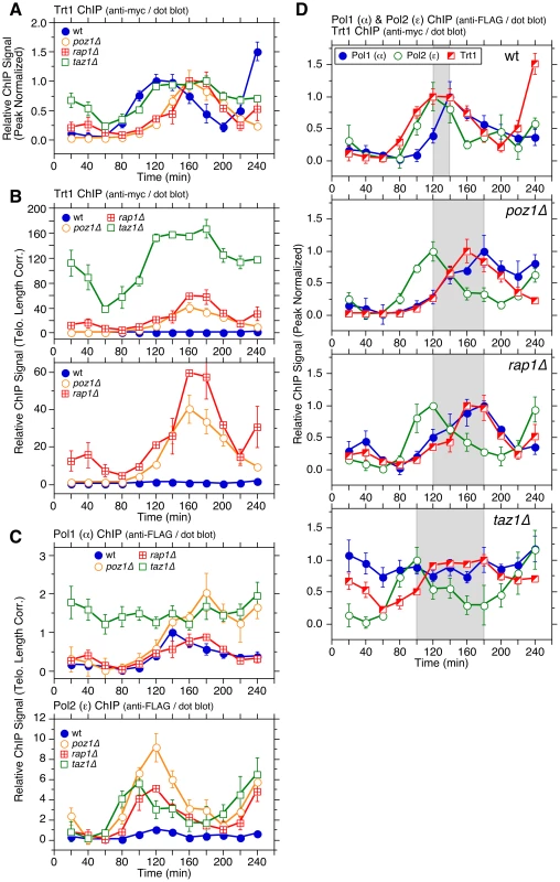 Cell cycle ChIP analysis to monitor association of Trt1<sup>TERT</sup> and DNA polymerases with telomeres.