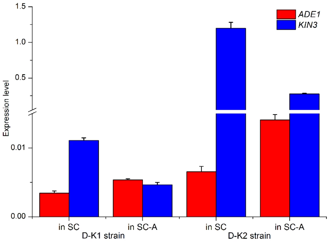 Anti-regulation of a convergent pair in different nutritional environments.