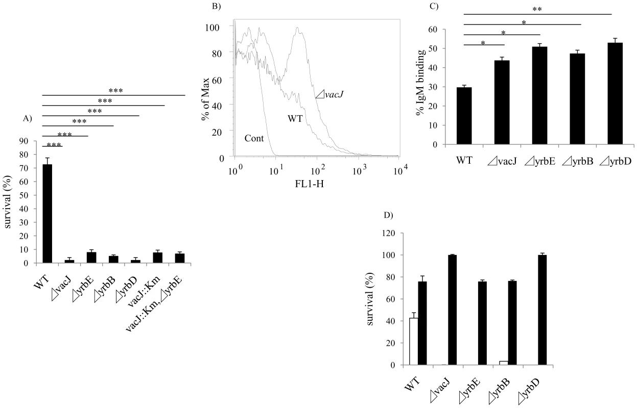 Characterization of <i>vacJ</i> and <i>yrb</i> mutants.