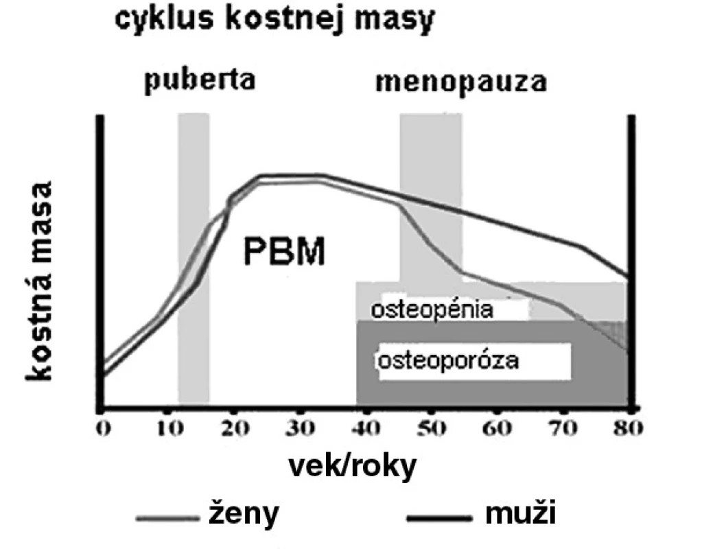 Kostná masa a vek u mužov a žien