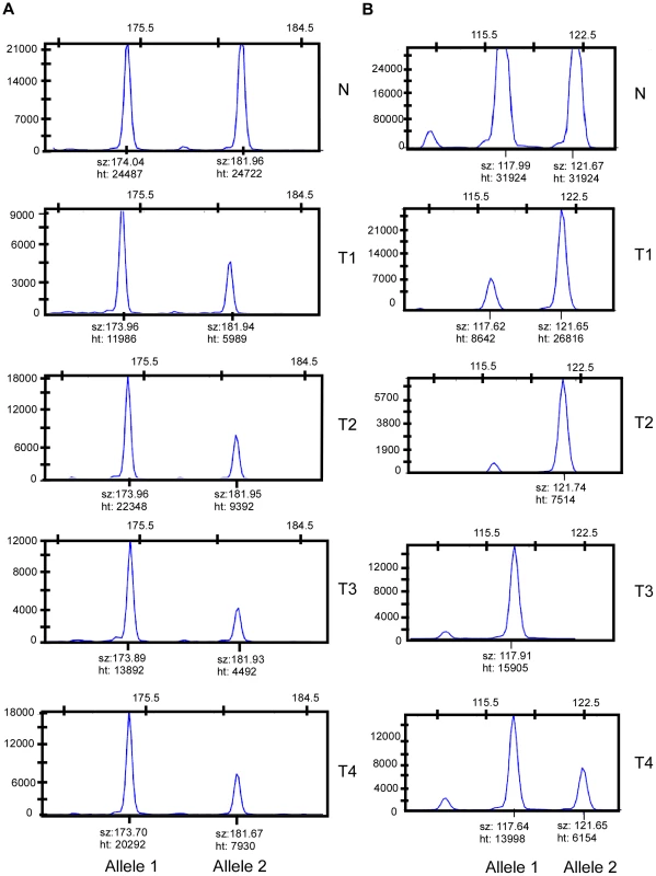Loci with and without evidence of preferential allelic imbalance.