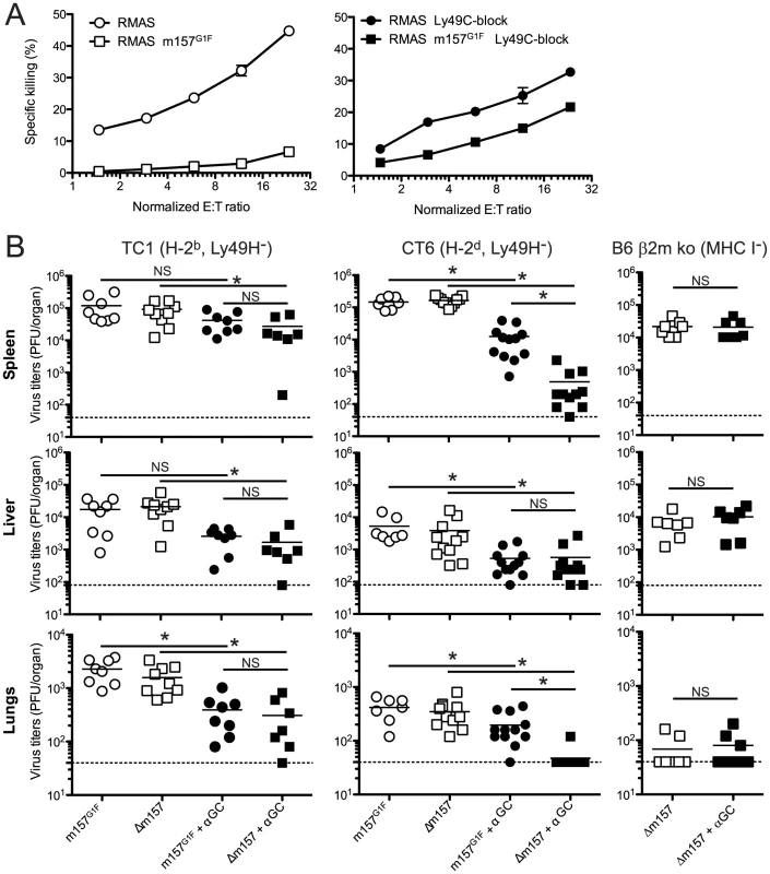 m157<sup>G1F</sup> regulates Ly49H-independent NK cell activation.