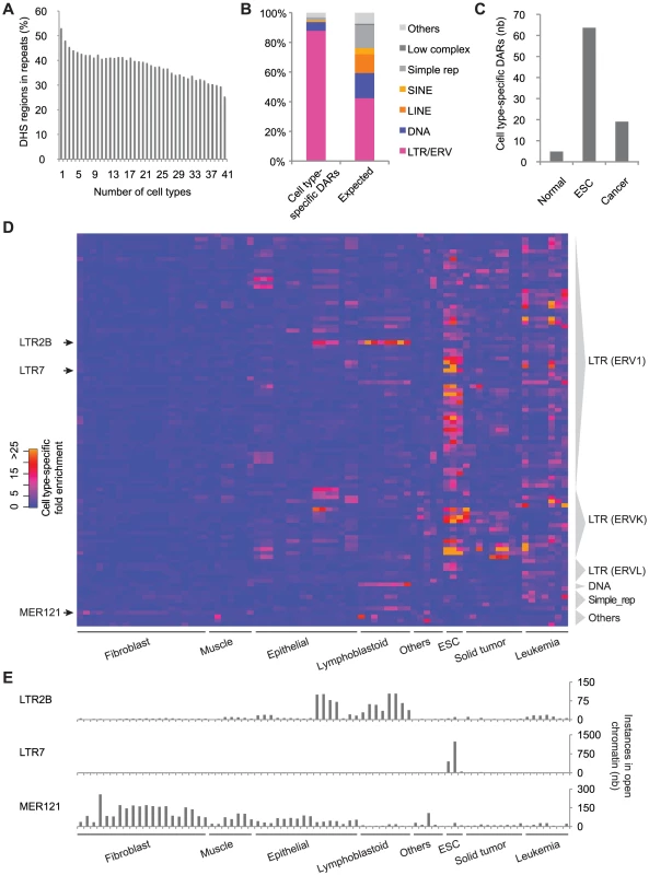 Thousands of LTR/ERV–derived sequences are activated in a cell type–specific manner, especially in ESCs.