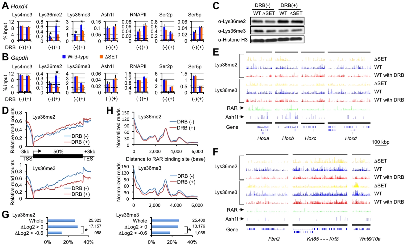 Lys36me2 occurs independently of the Ser2-phosphorylation of RNAPII, while Lys36me3 occurs in a context-dependent manner.