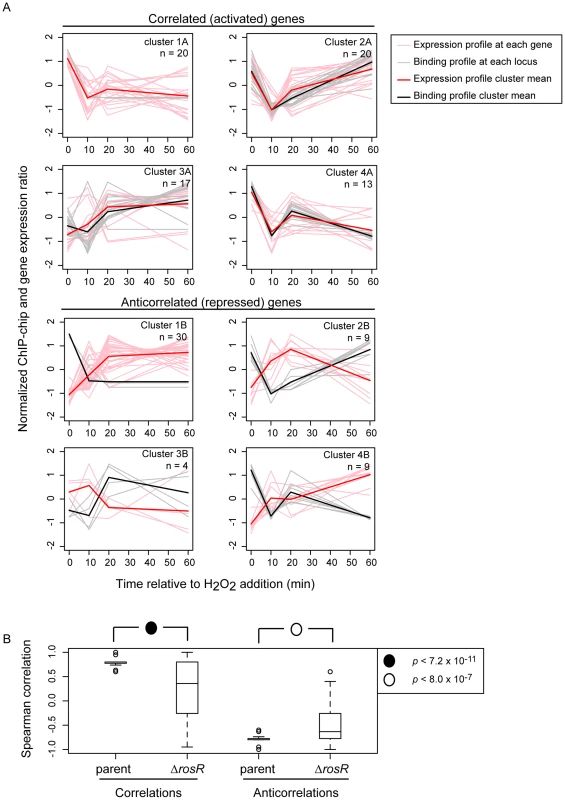 RosR is a bifunctional regulator and a large fraction of hits result in functional effects on gene expression.