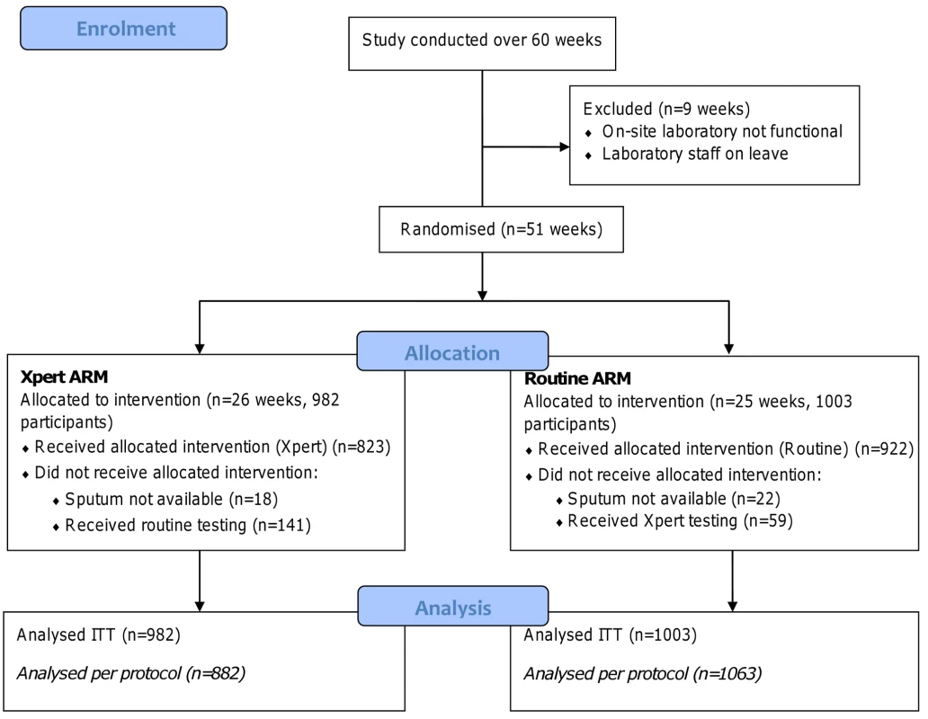 Participant flow diagram.