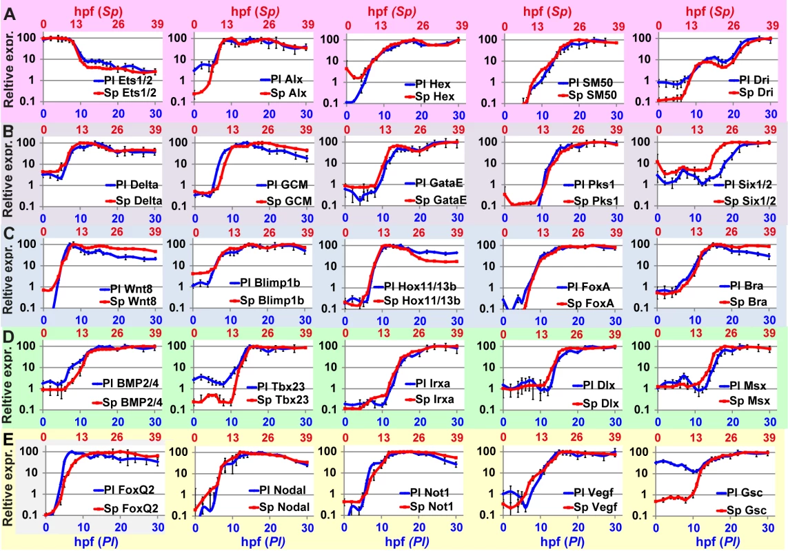 High similarities between <i>Sp</i> and <i>Pl</i> normalized expression profiles scaled according to developmental rates.