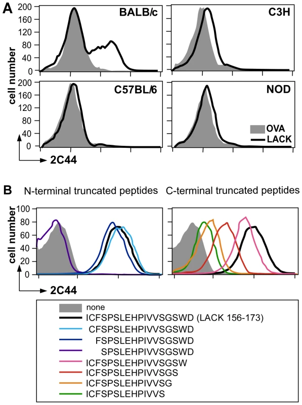Visualization of I-A<sup>d</sup>/LACK complexes by flow cytometry.
