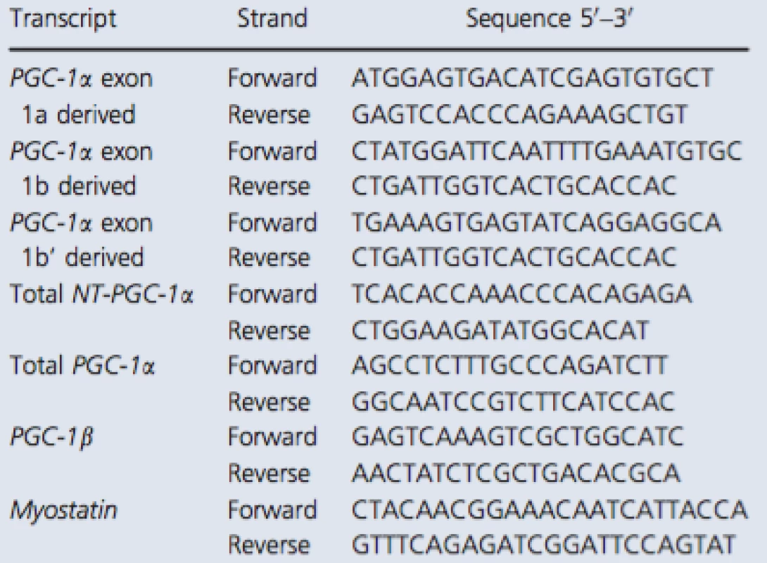 RT-qPCR primers used with the SYBR green method