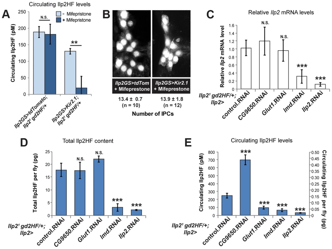 IPC-specific regulators of circulating Ilp2HF.