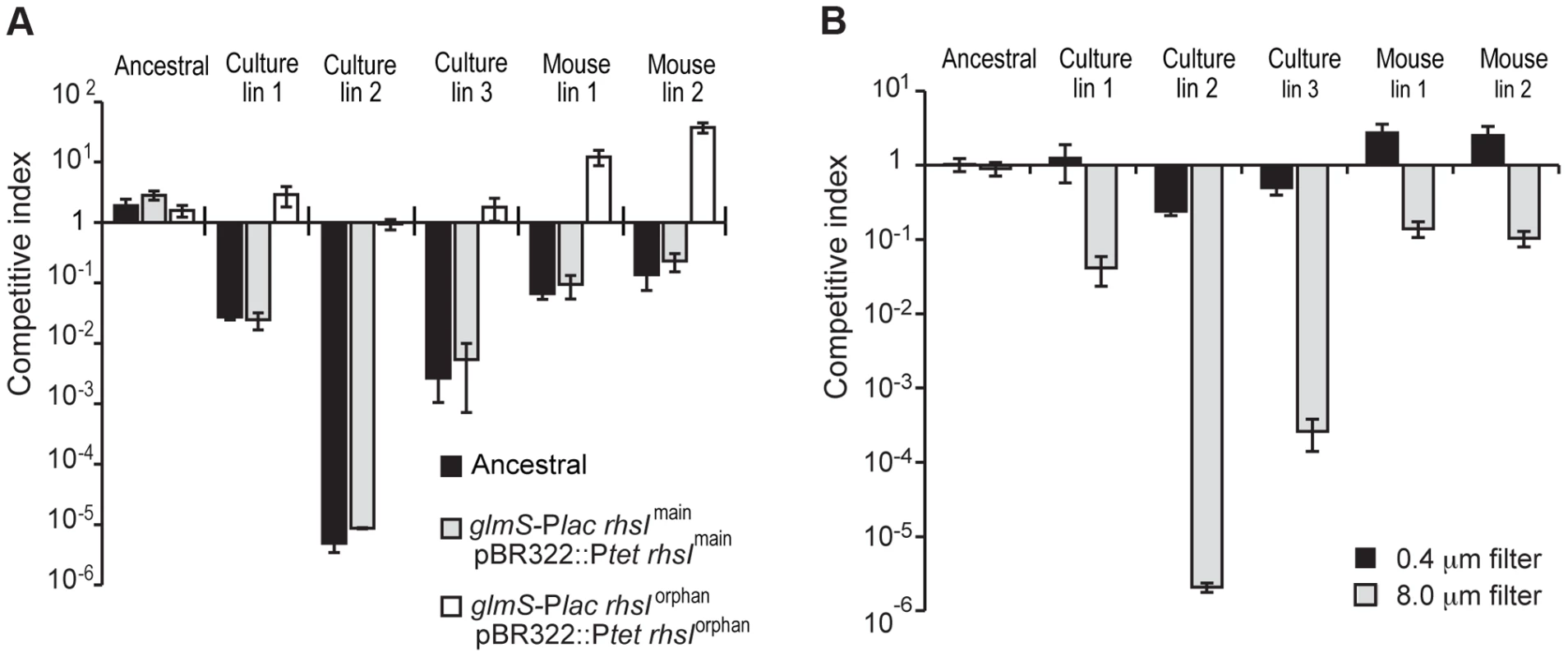 Evolved <i>St</i>LT2 cells inhibit the growth of ancestral cells.