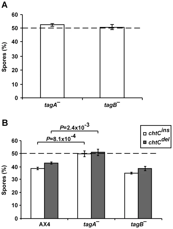 The <i>chtC</i> mutants cheat on <i>tagB<sup>–</sup></i>, but not on <i>tagA<sup>–</sup></i>.
