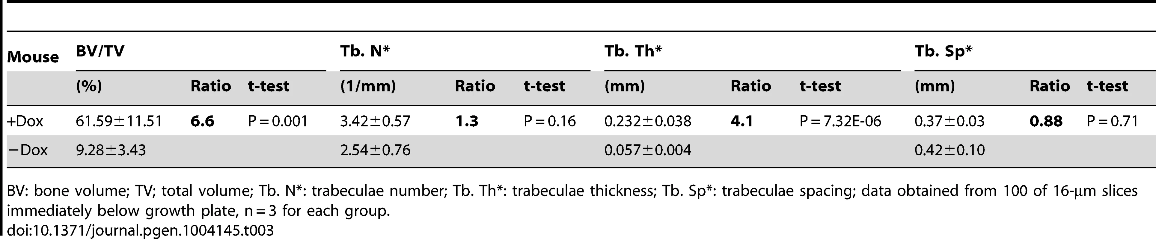 µCT analyses of Runx2-Wnt7b with or without Dox from one through two months of age.