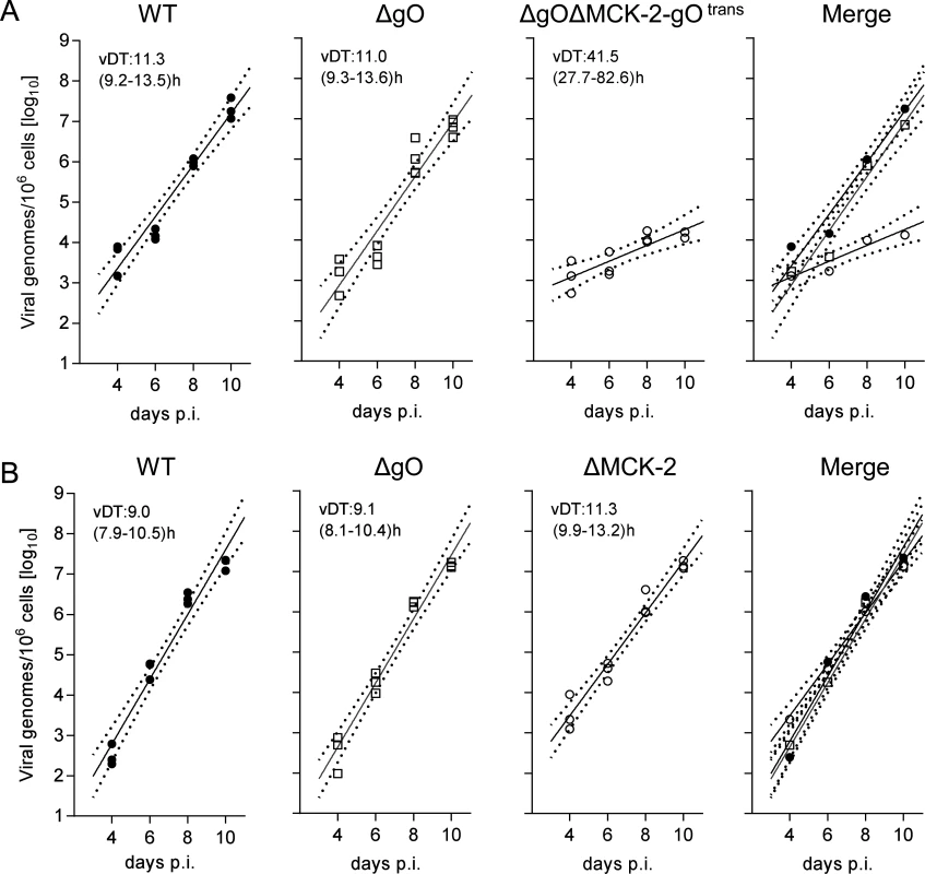 Redundance of alternative gH/gL complexes gH/gL/gO and gH/gL/MCK-2 in securing the infection of salivary glands.