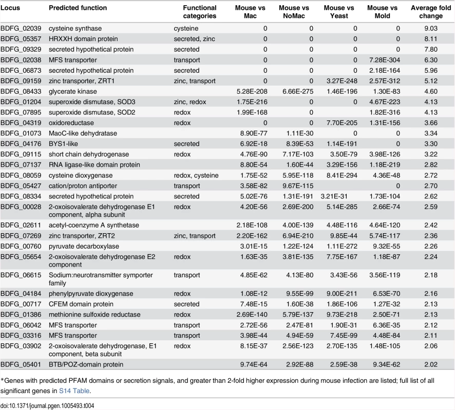 <i>Blastomyces</i> genes induced during mouse infection<em class="ref">*</em>
