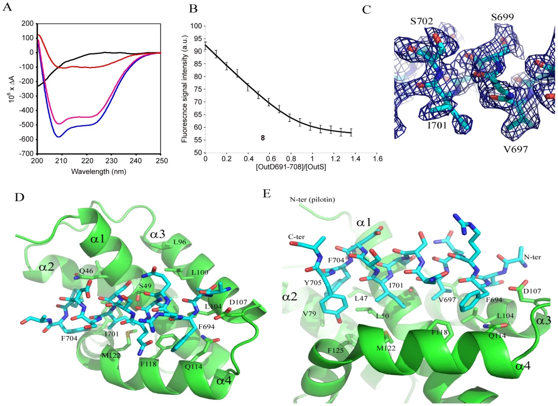 The secretin-pilotin complex.