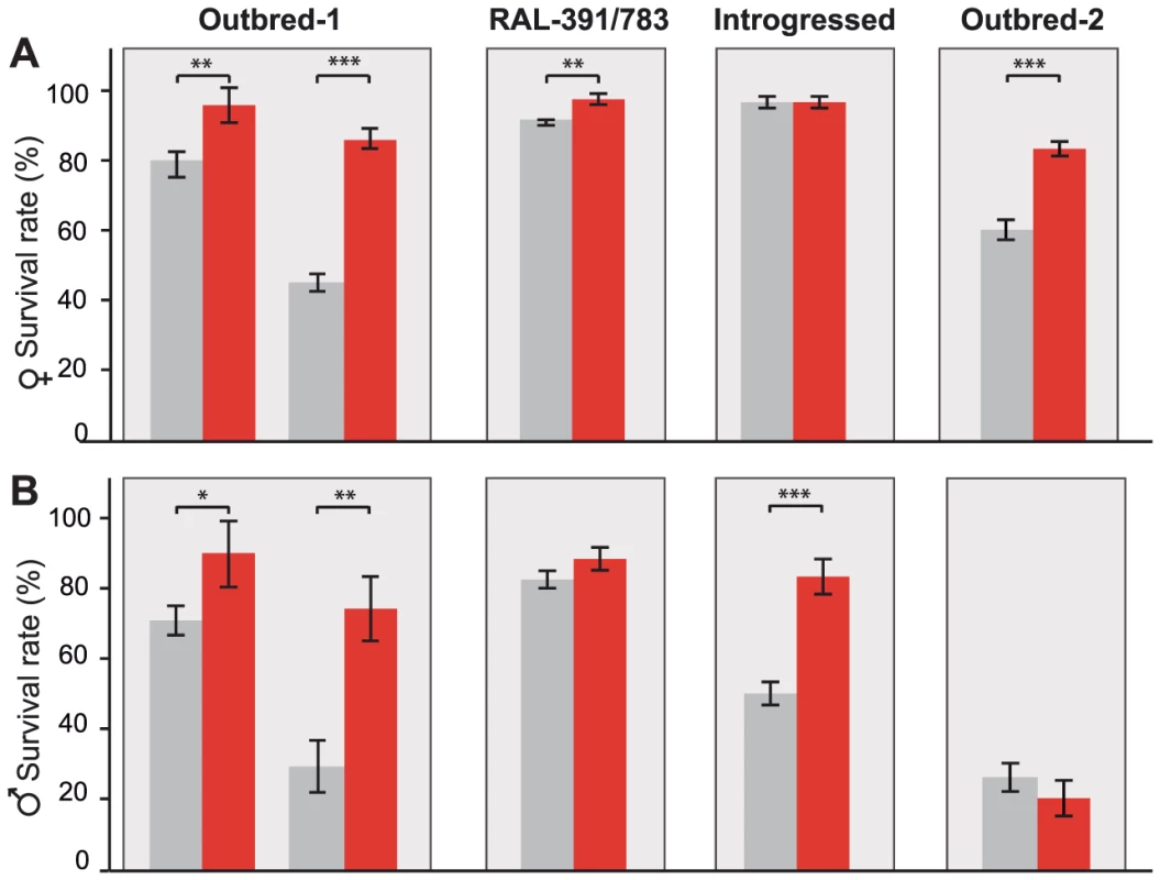 <i>FBti0019627</i> is associated with increased resistance to benzaldehyde.