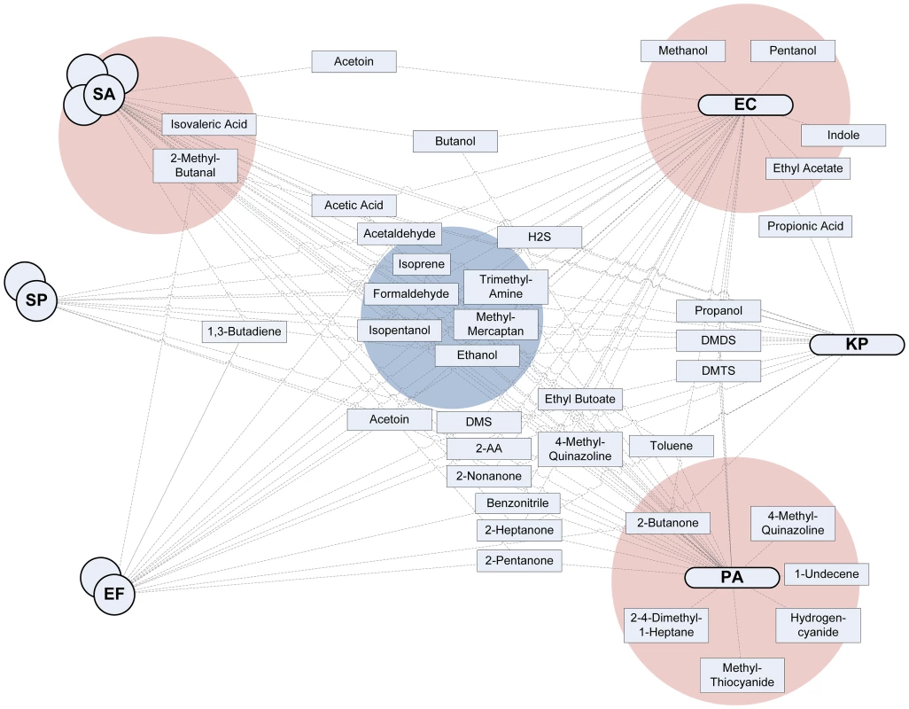 Interaction plot.