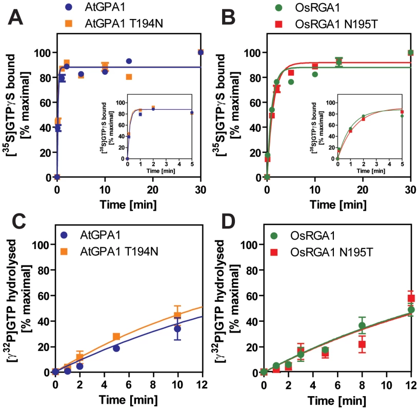 Intrinsic properties of Gα mutants.