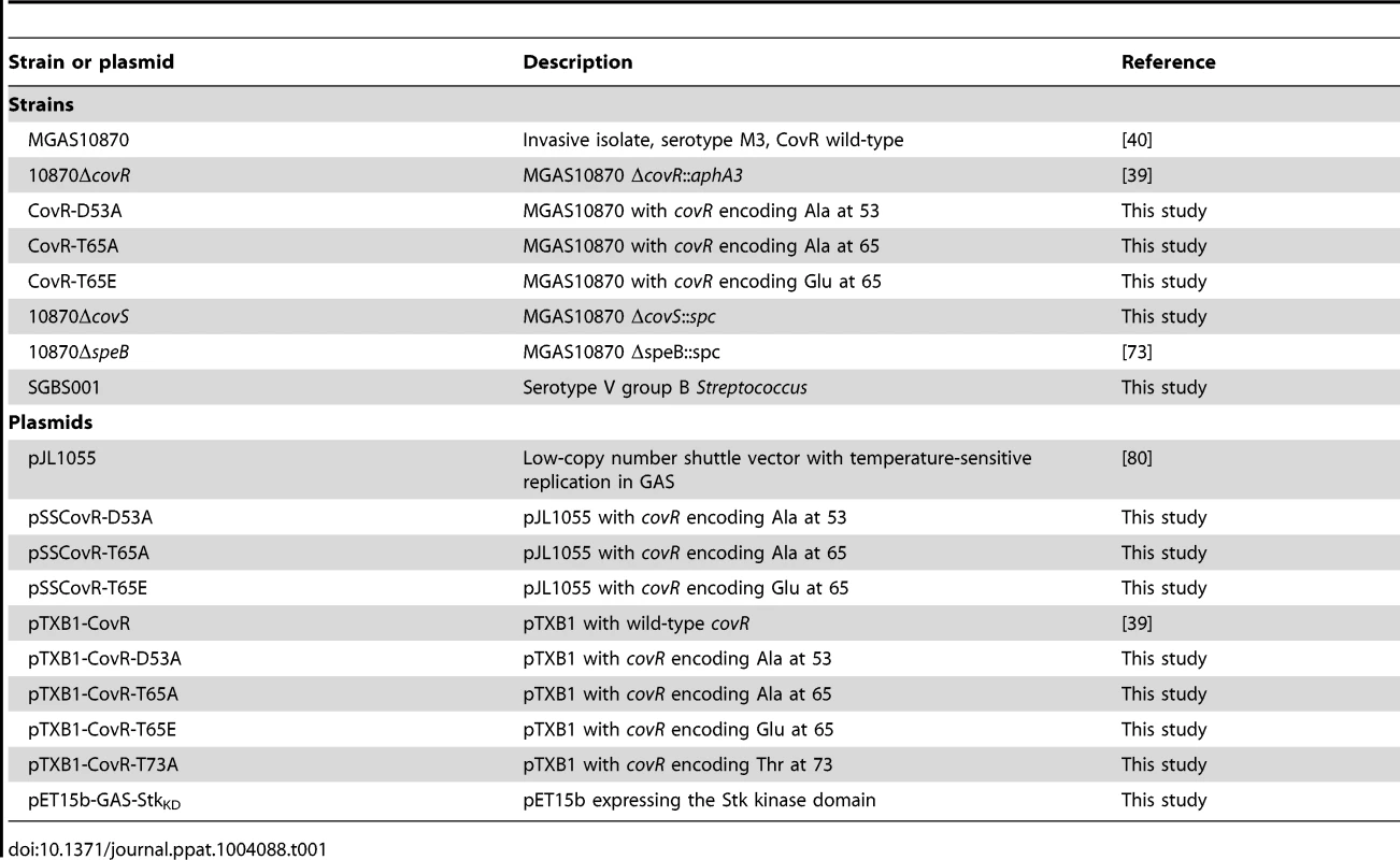 Strains and plasmids used in this work.