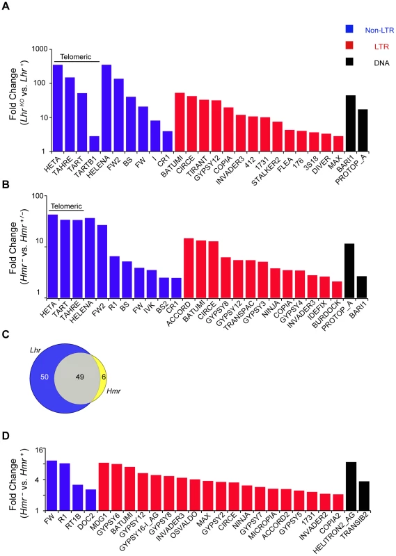 TE misregulation in <i>Lhr</i> and <i>Hmr</i> mutants.