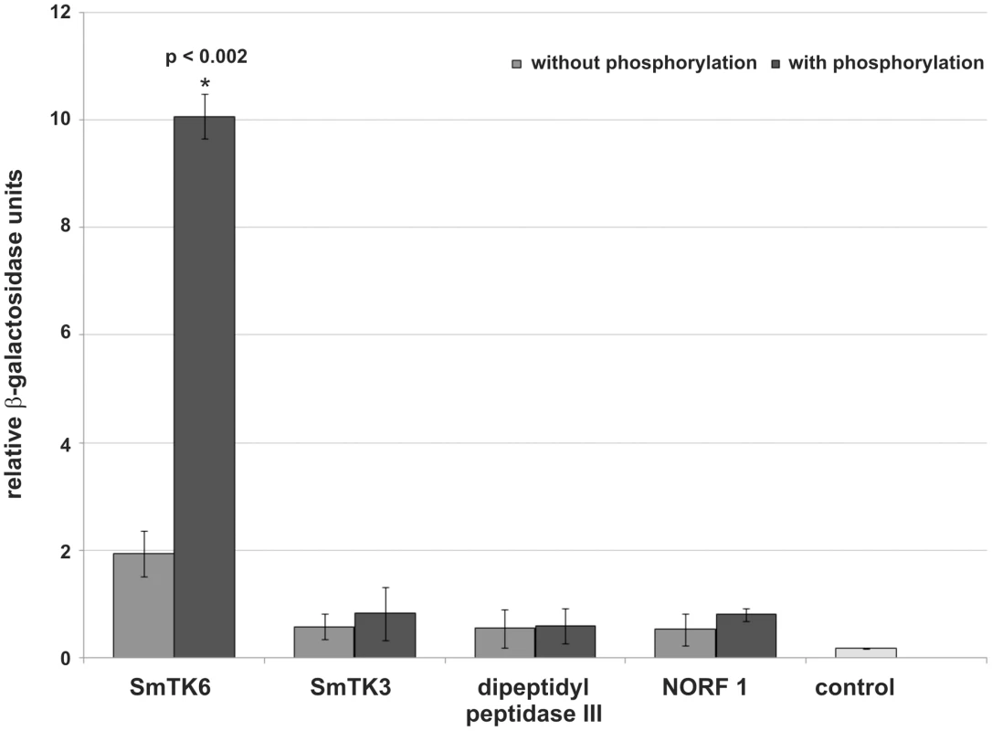 Comparative β-Gal liquid assays to determine the relative binding strengths of SmTK4 upstream interaction partners.