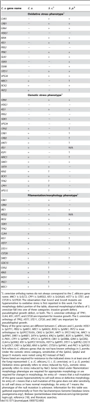 A comparison of <i>C. albicans</i>, <i>S. cerevisiae</i>, and <i>S. pombe</i> PK and PK-related mutant phenotypes.