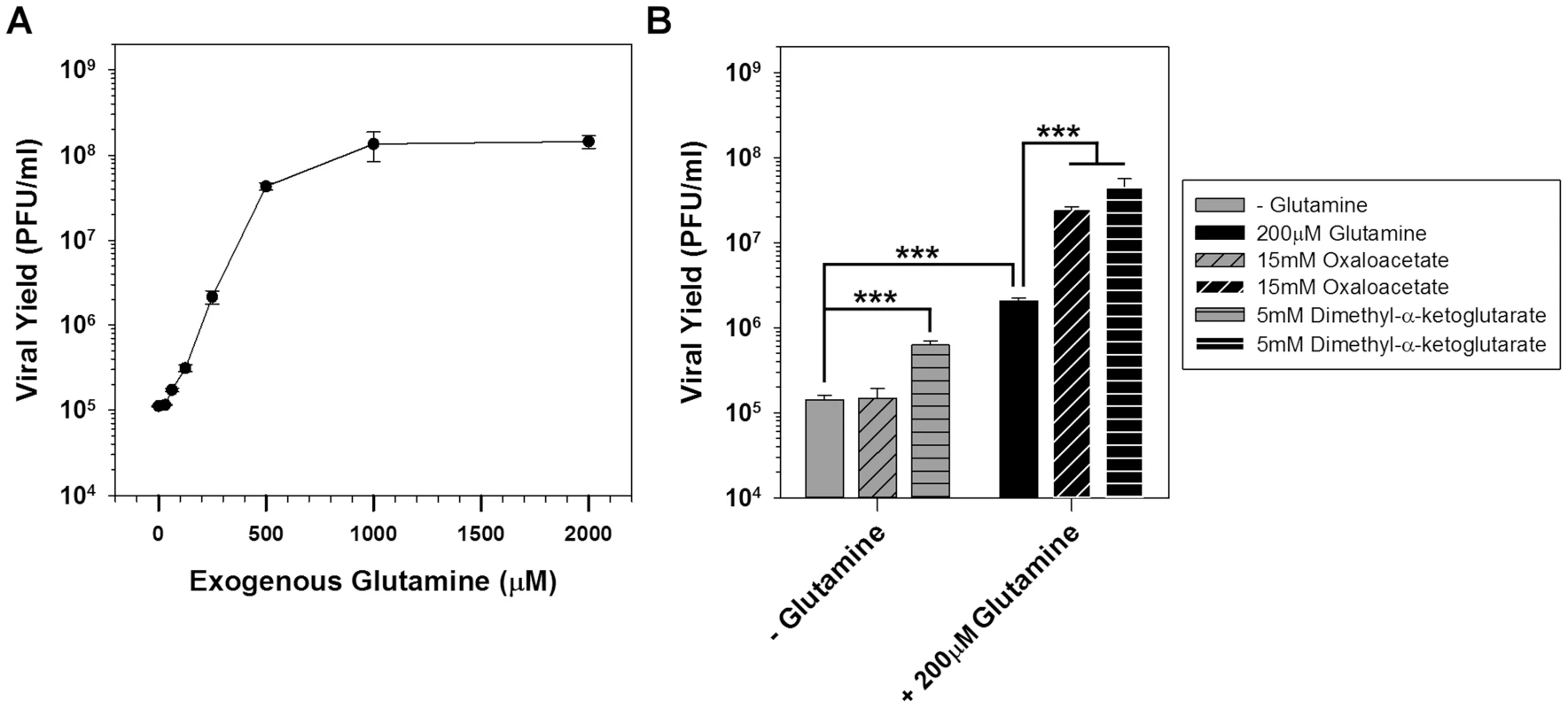 Glutamine is essential for vaccinia infection and anaplerotically supplements the TCA cycle.