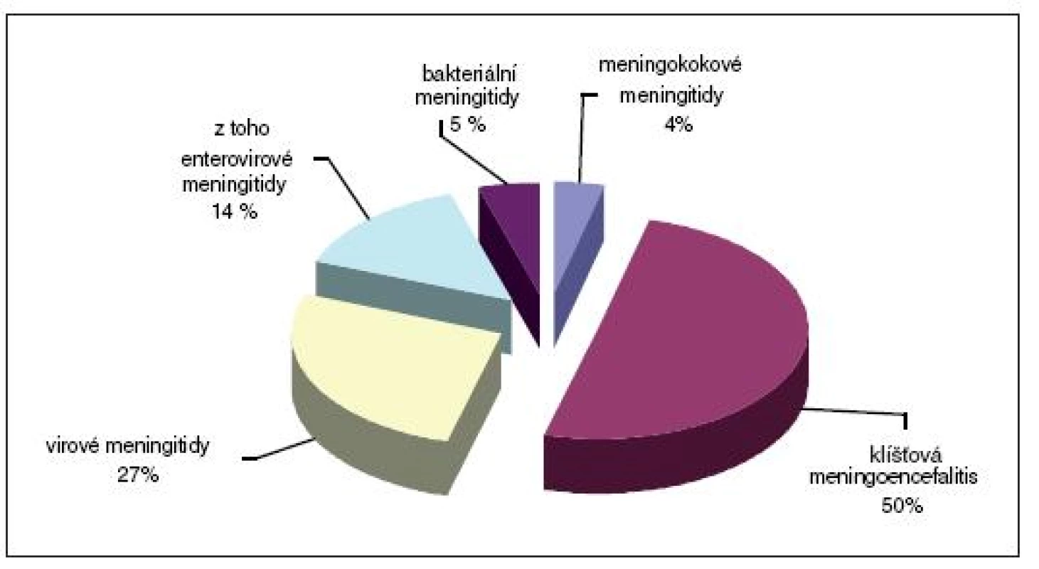 Etiologie neuroinfekcí v Jihočeském kraji v roce 2004