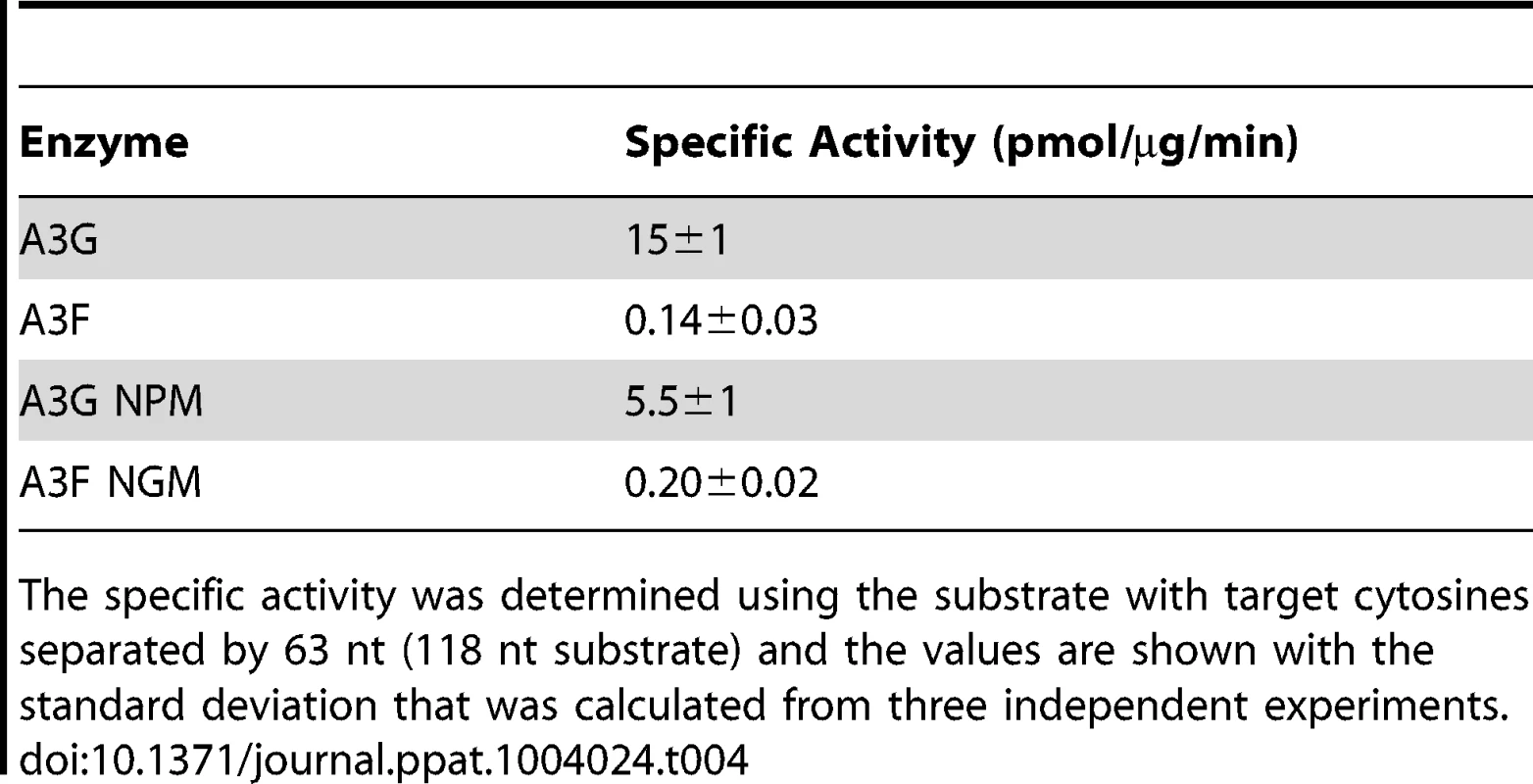 Specific activities of A3G and A3F wild-type and mutants.
