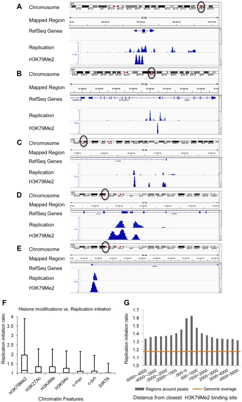 H3K79Me2 containing chromatin is associated preferentially with replication initiation sites genome-wide.