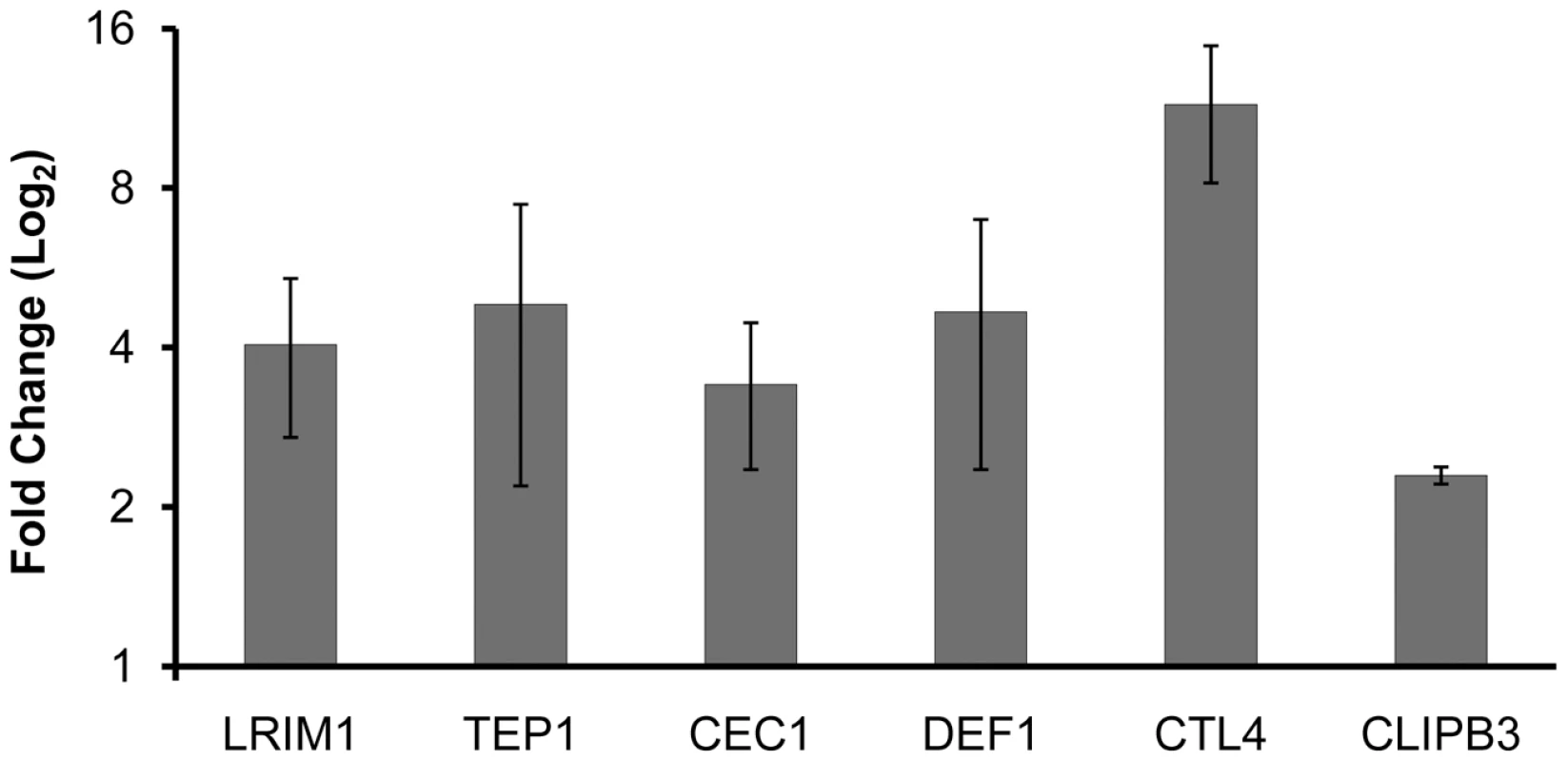 Immune gene expression in the <i>An. gambiae w</i>MelPop-infected MOS55 cell line.