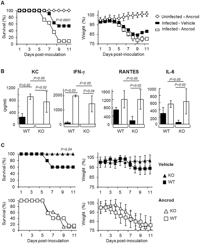 Effect of Ancrod treatment on inflammation and IAV pathogenesis.