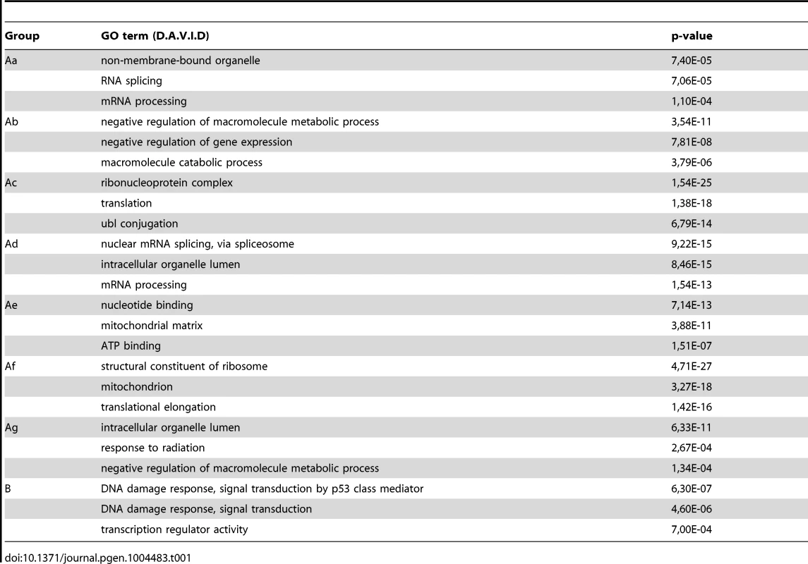 Results of gene ontology analyses carried out using the D.A.V.I.D. software to identify differential gene-function categories for the detected gene groups with distinct Pol II behavior patterns from <em class="ref">Figure 4</em>.