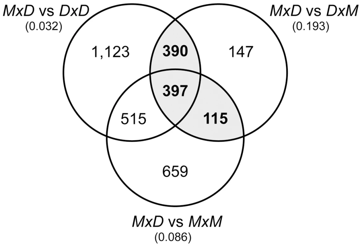 Overlap of pairwise expression differences between sterile and fertile mice.